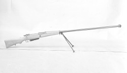 Polish karabin przeciwpancerny wzór 35 file photo [25095]