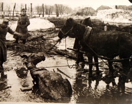 German horse-drawn logistics unit at a stream, date and location unknown