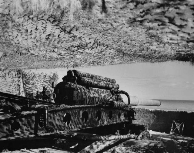 A camouflaged German coastal gun in Normandy, France, date unknown