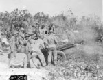 USMC 75-mm pack howitzer and crew, Peleliu, Palau Islands, Sep 1944