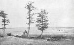 Lidice, Czechoslovakia May 1945. People gathering at the site of the mass grave holding the bodies of all 173 of Lidice’s men murdered by the SS on 10 Jun 1942.