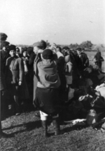 Jews being rounded up outside Lubny, Ukraine, 16 Oct 1941