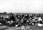 Jews being rounded up outside Lubny, Ukraine, 16 Oct 1941