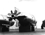 Early model Mark XIII torpedo after bodies (motors & guidance) on the deck of escort carrier USS Copahee upon delivery to Pearl Harbor, US Territory of Hawaii, 29 Oct 1943.