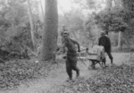 Men of 613th Field Artillery Battalion, US 5332nd Brigade (Provisional) transporting supplies, Burma, 1945