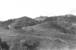 Men and pack mules of of US 5332nd Brigade (Provisional) in northern Burma, mid-Jan 1945