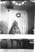 Christmas decorations at the entrance of the patients mess of US Army Medical Detachment 1340, Fiji, 1942-1944