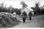 German paratroopers with Panzerschreck weapon, France, summer 1944