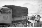 5 cm PaK 38 gun and crew with Raupenschlepper Ost tractor, Russia, early 1944, photo 3 of 3