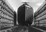 Liberty ship John Muir sliding down the ways at Marinship, Sausalito, California, United States, 22 Nov 1942. John Muir was the fourth ship built at the Marinship yard.