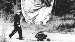 A Royal Canadian Navy intelligence officer approaching a downed Japanese Fu-Go balloon bomb in the western Canadian provinces, circa Mar 1945. Note the incendiary bombs still attached.