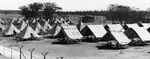 Tents at the Sand Island detention camp, Sand Island, Honolulu, Hawai