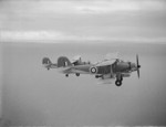 Albacore torpedo bombers of No. 820 Squadron FAA from HMS Formidable in flight, over the Indian Ocean off Mombasa, Kenya, date unknown