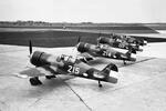 Fokker D.XXI aircraft of the Netherlands Air Force at rest, 1940-1941