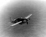 FM-2 Wildcat of USS Card in flight, 10 Feb 1944