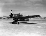 British Martlet II (Wildcat) fighter at La Senia airbase, Oran, Algeria, 14 Dec 1942, photo 1 of 2