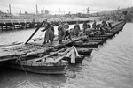 Soviet Army engineers building a bridge across the Seversky Donets River, Belgorod, Russia, Aug 1943