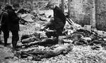 Japanese policemen identifying victims of American bombing, near Aoyama Police Station, Tokyo, Japan, 27 May 1945