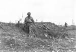 Men of Company I, 23rd Infantry Regiment, US Army 2nd Infantry Division advancing near Brest, France, 29 Aug 1944