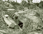 American soldier standing in a Japanese-built bunker at Red Beach, Gander Point, Makin, Gilbert Islands, 20 Nov 1943