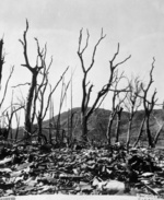 Burned vegetation, Nagasaki, Japan, mid-1946