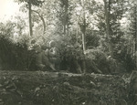 Japanese-American soldiers of the US 100th Infantry Battalion taking position behind an embankment during mock maneuvers, Italy, 12 Oct 1943