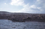 Americans working on an Iwo Jima beach, soon after the 19 Feb 1945 landings