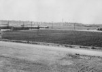 Field of radishes and mustard, Jerome War Relocation Center, Arkansas, United States, May 1943