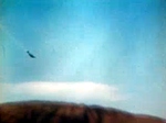 Fatally damaged Japanese aircraft falling toward Sand Island, Midway Atoll, 4 Jun 1942; note top of a sandbag in foreground