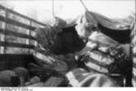 German airborne troops at Gran Sasso, Italy, 12 Sep 1943