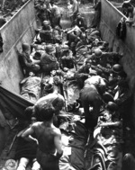 American casualties lying on stretchers aboard a landing craft, awaiting evacuation, Munda Point, New Georgia, Solomon Islands, 12 Jul 1943