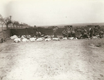 Dead US and German soldiers at a cemetery, Europe, 13 Dec 1944