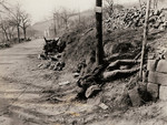 Fallen German soldiers, 1944-1945