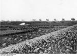 German military parade, Nürnberg, Germany, Sep 1936