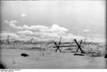 Barbed wire in snowy landscape, Norway or Finland, 1942-1943