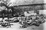 Lidice, Czechoslovakia 10 Jun 1942. SS officer standing over the bodies of all 173 of the village’s men in the garden at the Horák family farm. The mattresses were put up against the stone wall to prevent ricochets.