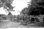 Camouflaged German 17 cm K 18 gun, France, Jun 1944, photo 1 of 3