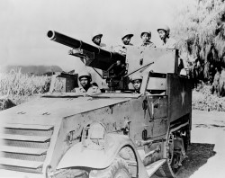 M3 Gun Motor Carriage file photo [14857]